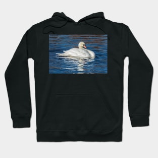 Swan glide Hoodie